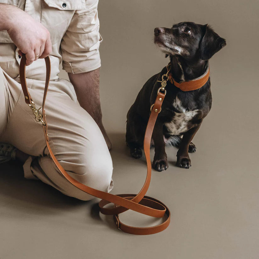 Band&Roll %uyum_store% Crossbody Leather Leash Leash